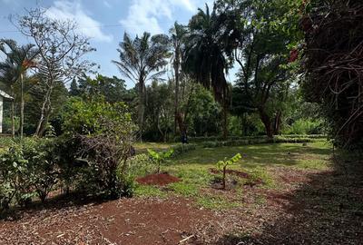 0.75 ac Land in Kyuna