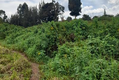 1.3 m² Land at Kiambu Road - 2