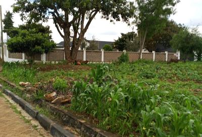 0.5 ac Land in Tigoni - 4