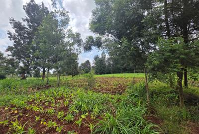 Commercial Property with Service Charge Included at Mutuini Primary