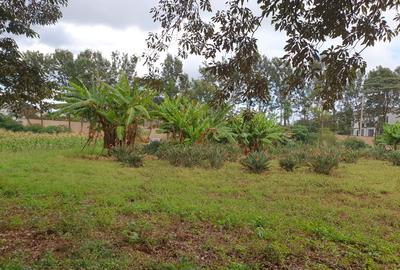 5 ac Land at Runda Paradise Off Kiambu Road - 3