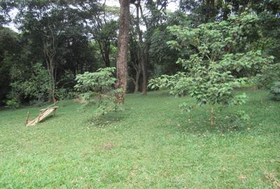4 ac Land at Mushroom Gardens