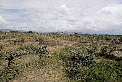 48 ac Land at Loita Plains Hotel