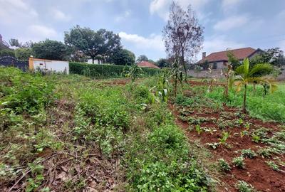 Residential Land at Pan African Insurance Avenue