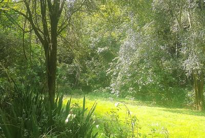 0.75 ac Residential Land at Naivasha Road