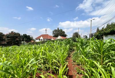 Residential Land in Runda