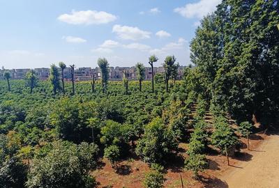 30 ac Land in Kiambu Road