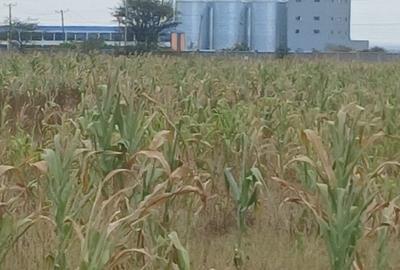 20 ac Land at Kitengela Plains - 2