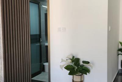 Furnished 2 Bed Apartment with En Suite in Riverside