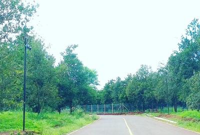 Land at Thika Groove Chania