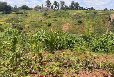 Residential Land in Kitisuru