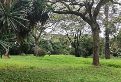 200 ac Land at Kilimani