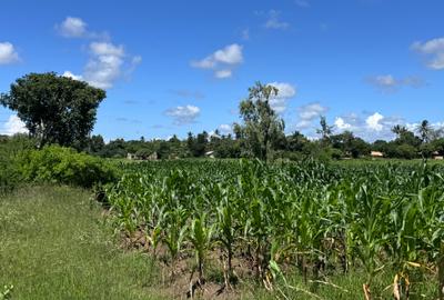 505 m² Land at Mavueni - 4