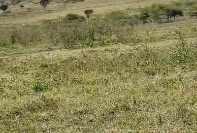 Residential Land at Malili