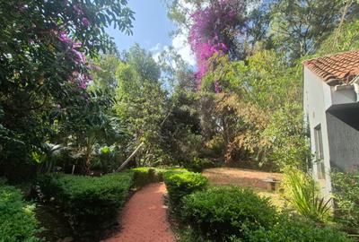 Commercial Property with Fibre Internet in Kileleshwa - 2