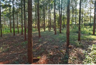 Residential Land at Kiganjo Road