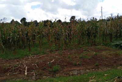 0.5 ac Land in Tigoni - 4