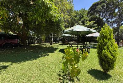 Furnished Studio Apartment with Swimming Pool at Lavington - 2