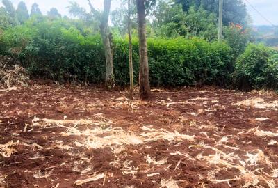 0.25 ac Commercial Land at Muthiga