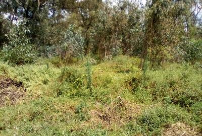 Land at Off Bogani Rd