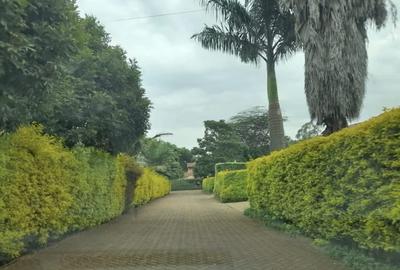 5 Bed House with En Suite at Runda Evergreen - 2