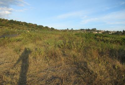 Land at Naivasha Town