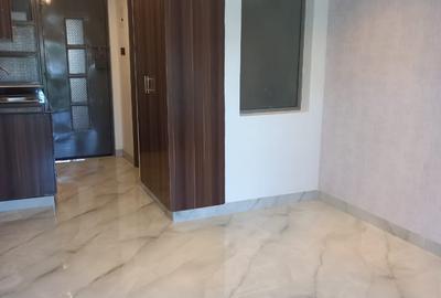 Studio Apartment with En Suite at Naivasha Road - 3