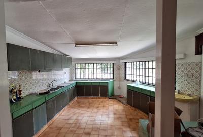 Commercial Property with Fibre Internet in Lavington