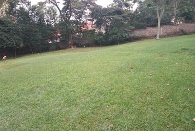 18,212 m² Land at Bogani Road