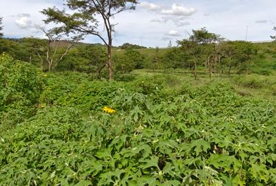 5.65 ac Land in Juja
