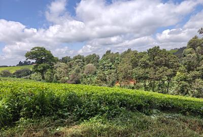 Land at Tigoni - 3