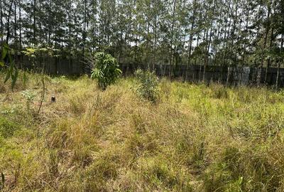 0.5 ac Land in Karen