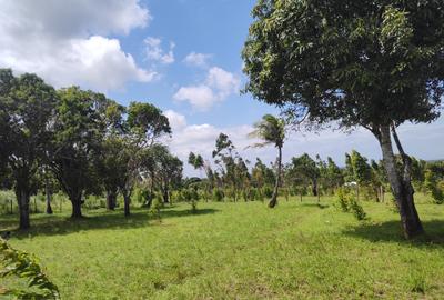 1.0 ac Land at Mabokoni - 2