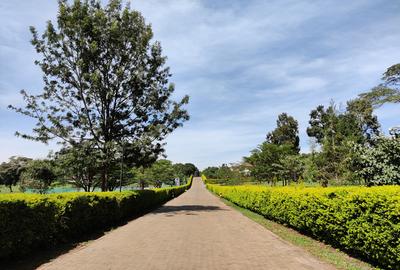 1 ac Residential Land at Karen