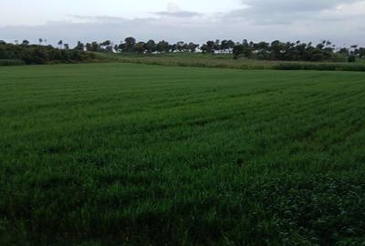 Land at Munyu Area - 4