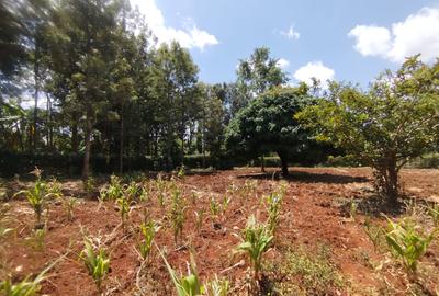 Land in Kiambu Road - 3