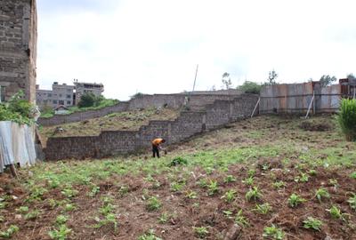 0.111 ha Commercial Land at Kasarani Mwiki Road - 3