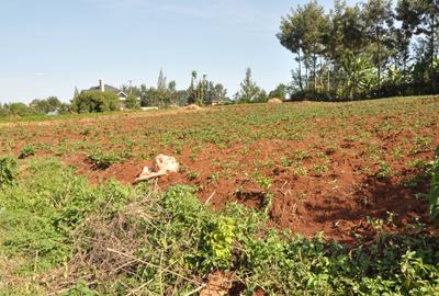 0.75 m² Land at Thindigua