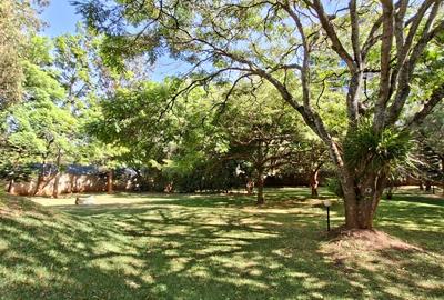 4 Bed House with En Suite in Lavington - 3