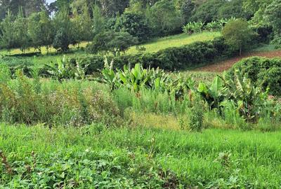 1 ac Residential Land at Tigoni