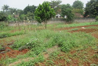 Land at Off Pan African Insurance Avenue