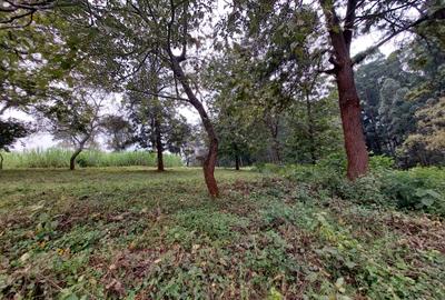 Residential Land at Ruaka Road