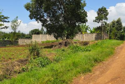 0.5 ac Land in Thome