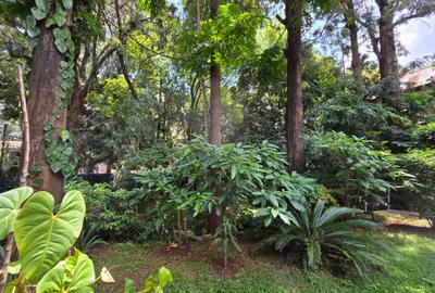 Land in Upper Hill - 2