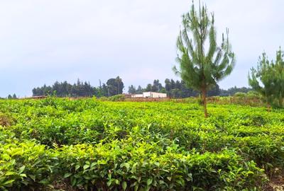 20 ac Residential Land at Riara Ridge - 4