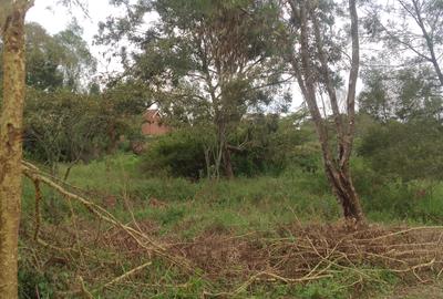 0.5 ac Land at Olepolos - 3