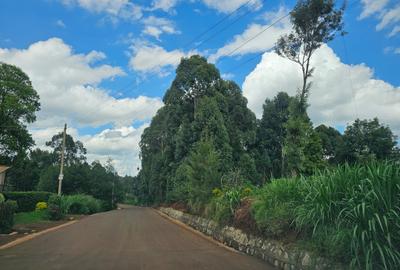 5,000 ft² Land at Muchatha Banana Kiambu - 2
