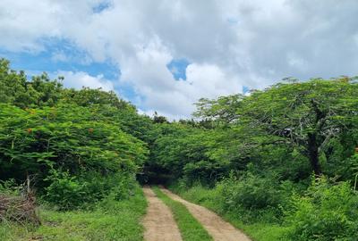 15 ac Land at Kuruwitu