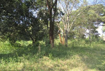 9 ac Land at Karen