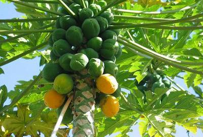 1 ac Residential Land in Malindi - 2